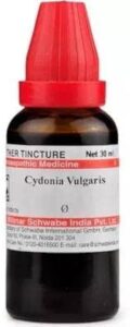 Cydonia Vulgaris Q uses in Hindi