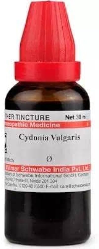 Cydonia Vulgaris Q uses in hindi