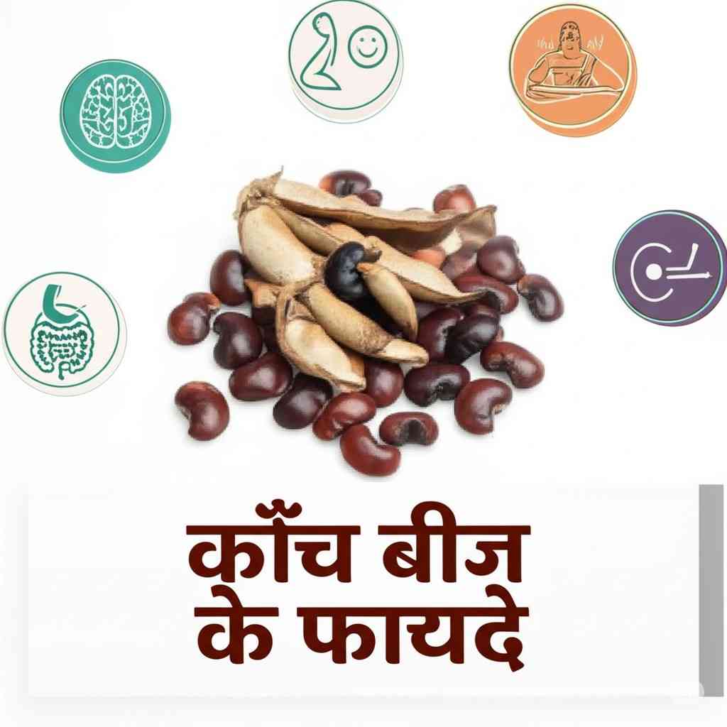 kaunch-beej-ke-fayde