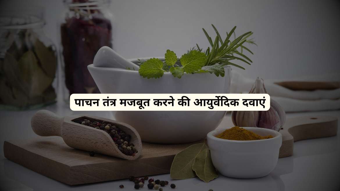 पाचन तंत्र के लिए आयुर्वेदिक दवा