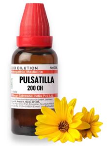 Pulsatilla 30 Uses in Hindi